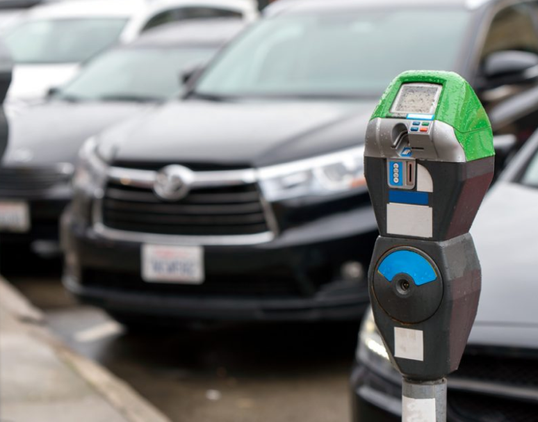 Government parking solution